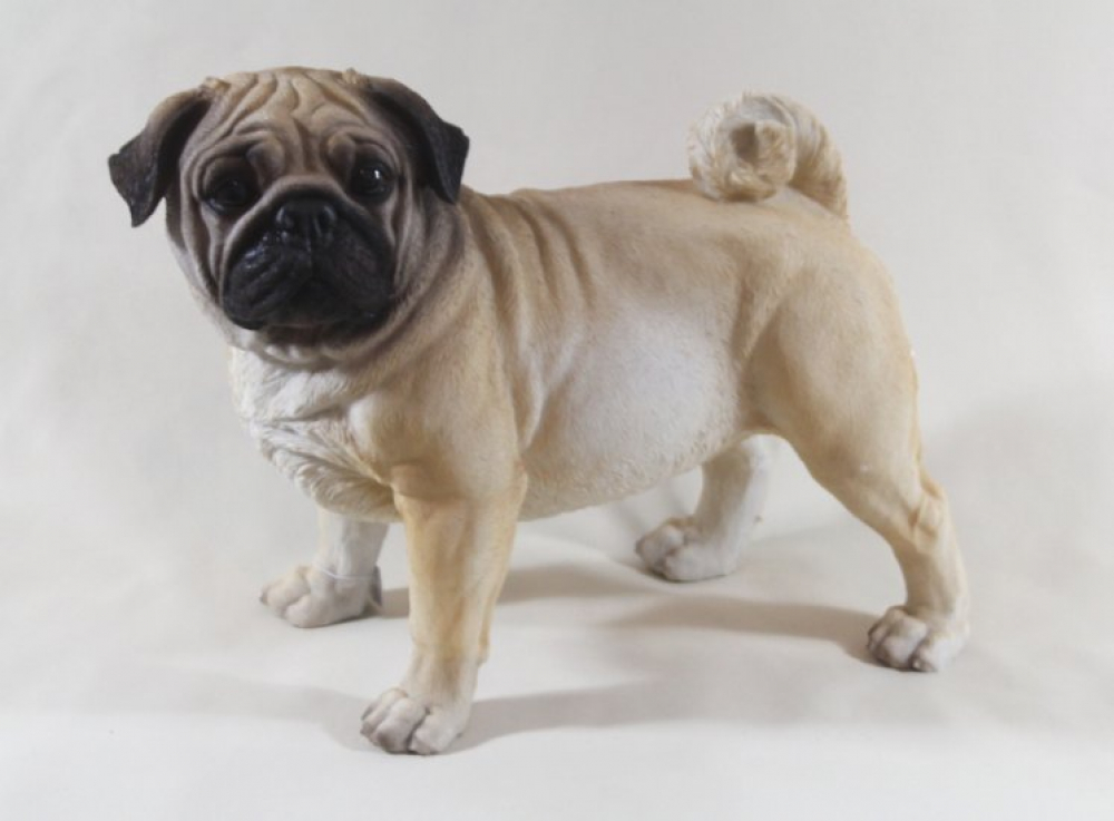 Mops Braun Natur lebensgroß Hund Deko Figur Höhe ca. 32 cm Neu TOP, 29,95 €