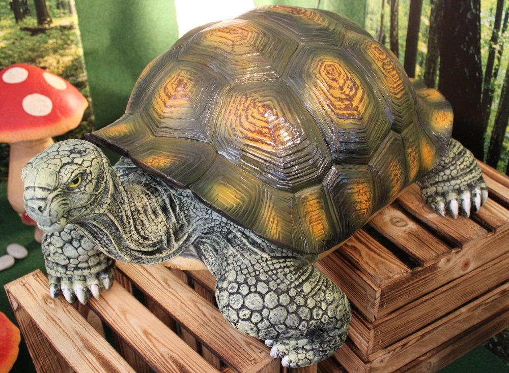 Schildkröte, groß