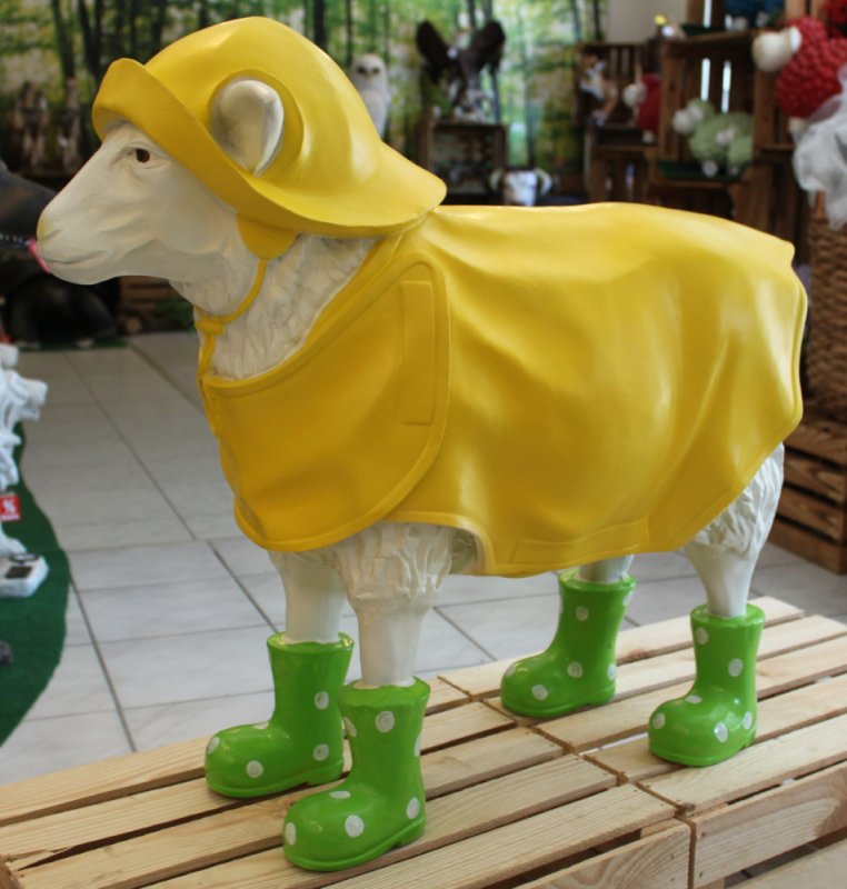 Spannende Schaf Mit Gummistiefel Bild