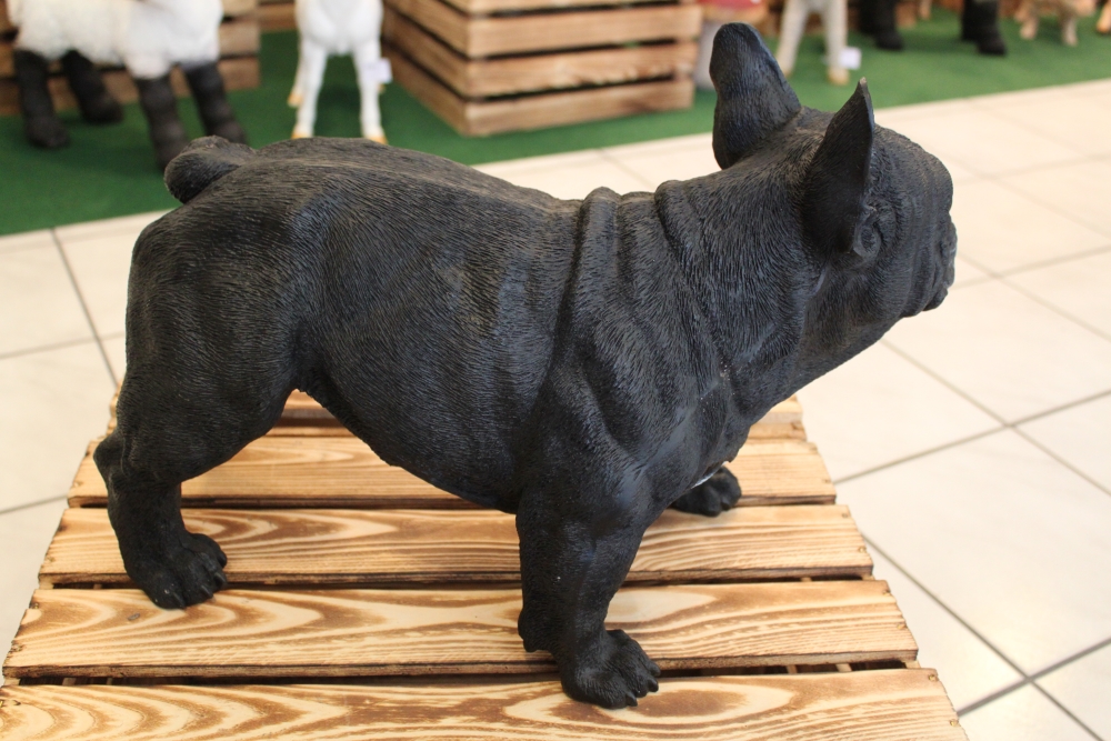 Gartenfigur Hund 48cm lang Französische Bulldogge schwarz 2500 lebensecht  Figur