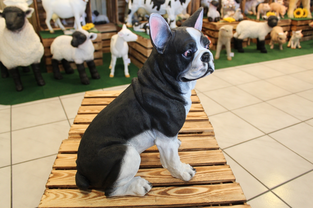 Franz. Bulldogge, sitzendIDekofiguren günstig Online kaufen - XO-SHOP