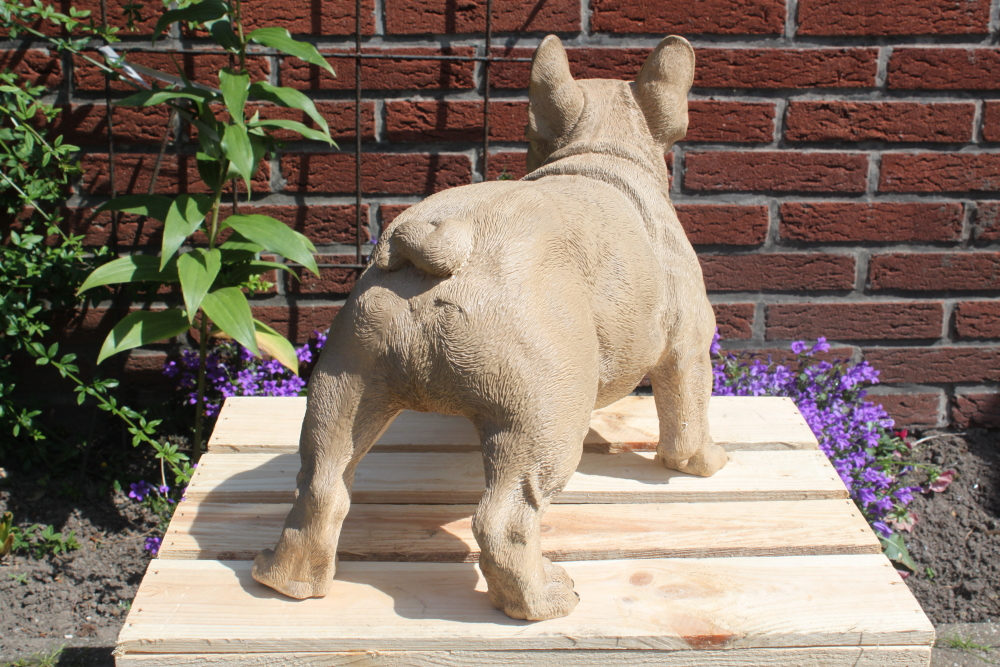 Deko Figur Bulldogge 24cm, Polyresin Skulptur Hund, In-/Outdoor, handbemalt  mit Jäckchen von Heute-Wohnen