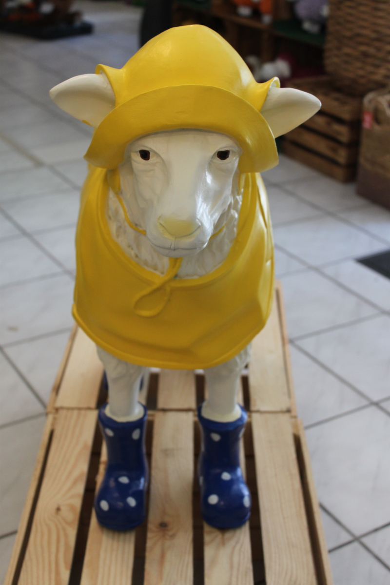 Spannende Schaf Mit Gummistiefel Bild