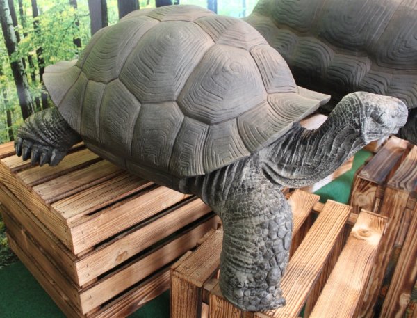 Kletterschildkröte Statue Aus Harz – 5,5 X 8 Cm, Garten-Deko, Blumentopf-Hänger, Für Balkon & Zaun